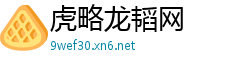 虎略龙韬网